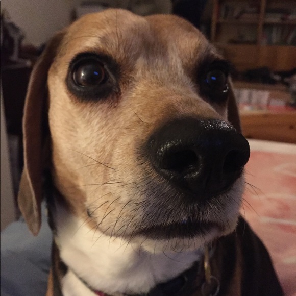 Meet your Posher, Sheri - Picture 2 of 2